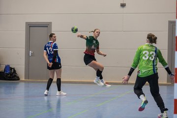 Bild 266 - F HSG Kremperheide/Muensterdorf - HSG Holstein Kiel/Kronshagen : Ergebnis: 31:26